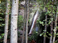 DSCN9591 DSCN9591