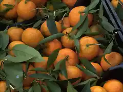 oranges_4_3