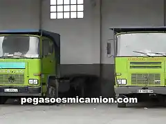 pegasoesmicamion