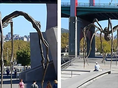 54 54