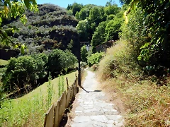 DSCN7783 DSCN7783