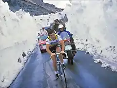 HINAULT,GIRO 1980,STELVIO.