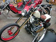 DSCN8216 DSCN8216