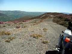 DSCF2562 DSCF2562