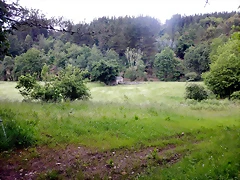 DSCN4578 DSCN4578