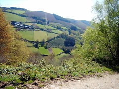 DSCN4384 DSCN4384