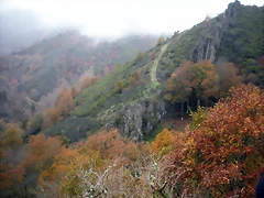 DSCN0967 DSCN0967
