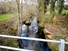 DSCN9570 DSCN9570