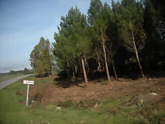 DSCN9731 DSCN9731
