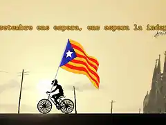 Estelada en bici