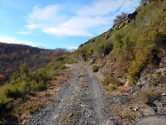 DSCN0143 DSCN0143