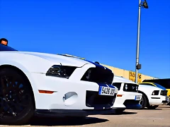 DSC_0340 DSC_0340