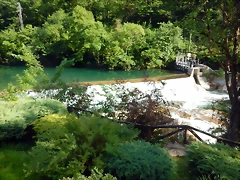 DSCN3117 DSCN3117
