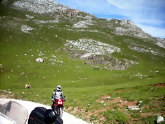 DSCN8140 DSCN8140