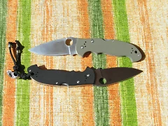 41