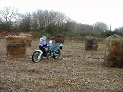 DSCN7329