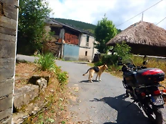 DSCN6652 DSCN6652