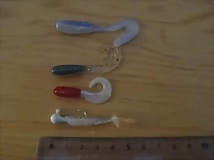 Grubs