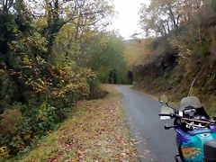 DSCN2913 DSCN2913