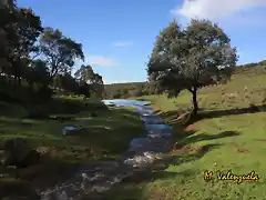 005, arroyo la candila2,  marca