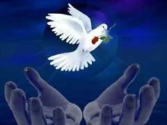 000c051wp64 000c051wp64