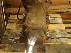 caja1