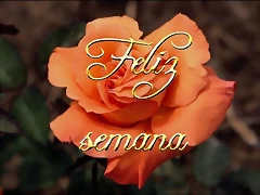 Lunes.Feliz semana.Rosa