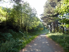 DSCN9235 DSCN9235