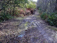 DSCN6431 DSCN6431