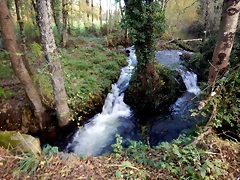 DSCN0533 DSCN0533