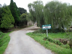 IMG_0281 IMG_0281