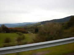 DSCN8379