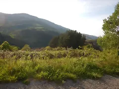 DSCN2128 DSCN2128