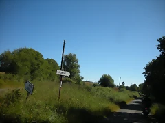 DSCN6531