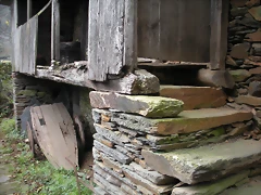 DSCN1174 DSCN1174