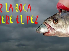 POR LA BOCA MUERE EL PEZ