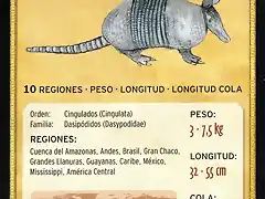 armadillo de nueve bandas