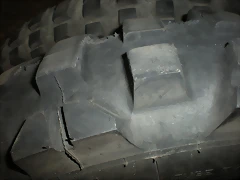 IMGP6760