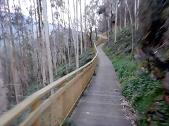DSCN9670 DSCN9670