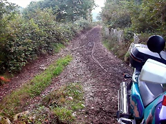 DSCN5374 DSCN5374