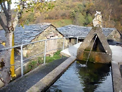 DSCN0462