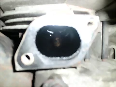 CIMG0336 CIMG0336