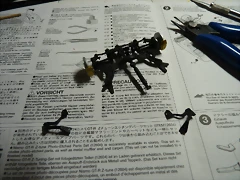 P1090533 P1090533
