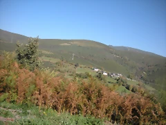 DSCN0124