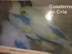 Portada Cuaderno Cra