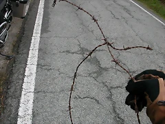 DSCN3584 DSCN3584