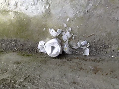 20062010543 20062010543