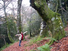 DSCN0764 DSCN0764