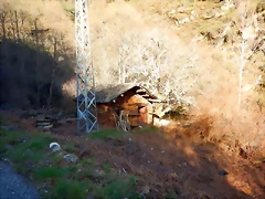 DSCN4051 DSCN4051