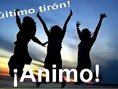 animo